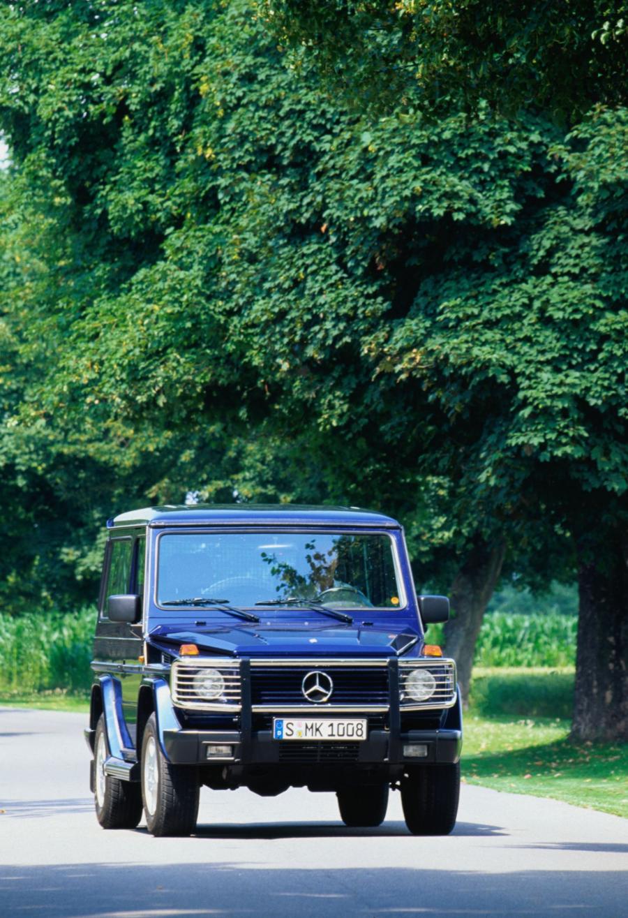  Mercedes-Benz G-Class 1990 года  (фото 252 из 260)